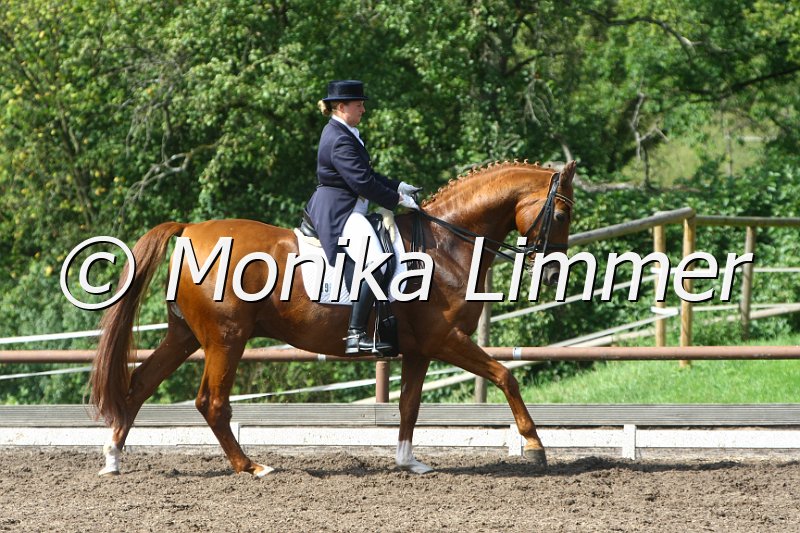 109M4381_Weyden_Dressur Sxx.JPG